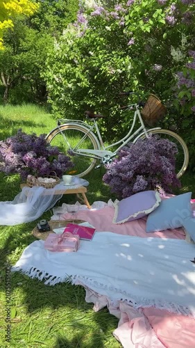 Aesthetic Spring Picnic With Bicycle Video
