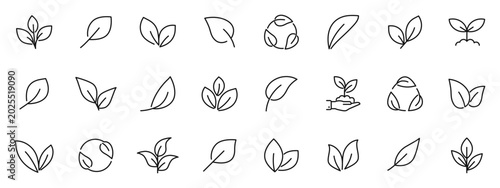 Leaf icon set. Leaves of trees and plants icons in line style. Editable web icons for natural, eco, bio, vegan labels etc. Vector illustration.