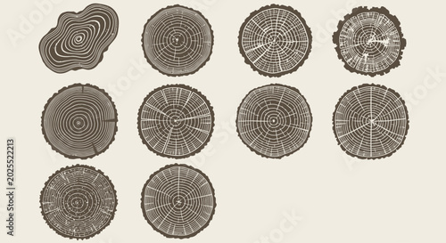 Vintage wood cross section set, 10 rustic timber tree rings icons, organic wood grain texture circles, brown forest trunk slices vector