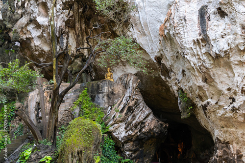 Fotografija Golden Buddha statue seated on rocky ledge amidst lush greenery and a cave entrance, with weathered trees and ancient stone steps in a spiritual sanctuary