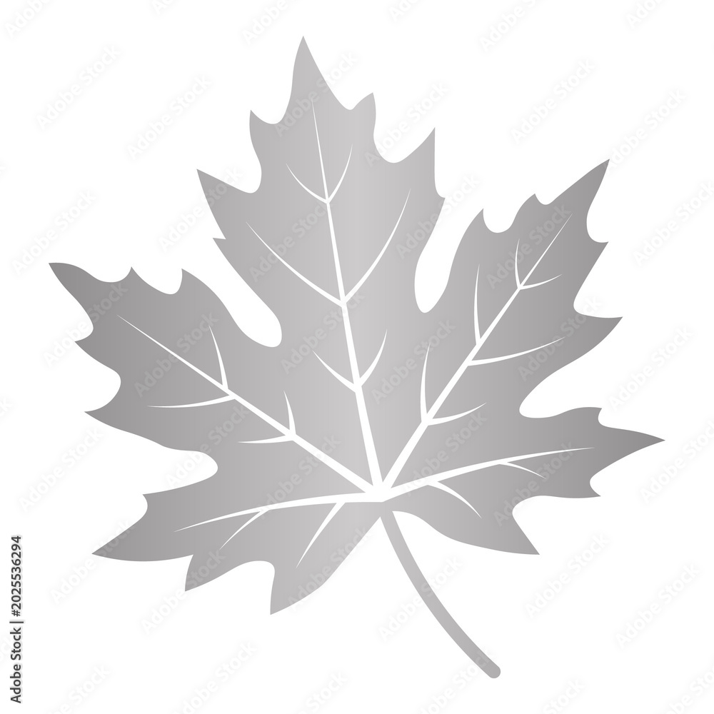 Fototapeta premium Classic plant ornaments detailed modern design, for elegant layouts.