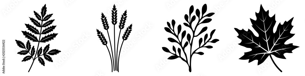 Fototapeta premium Bundle of floral plant branches solid black color, for holiday decoration.
