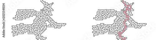 Fényképezés Witch shaped maze with solution