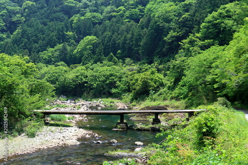 堀ヶ生沈下橋　新緑の季節　高知県北川村