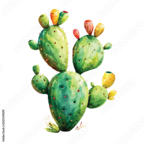 Foto Prickly Pear Cactus Plant Green.