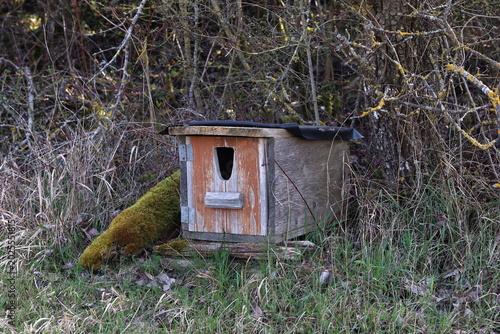 Wooden house for birds or small animals