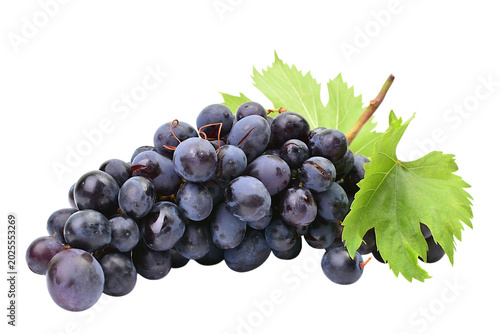 Bunch of grapes isolated on white background