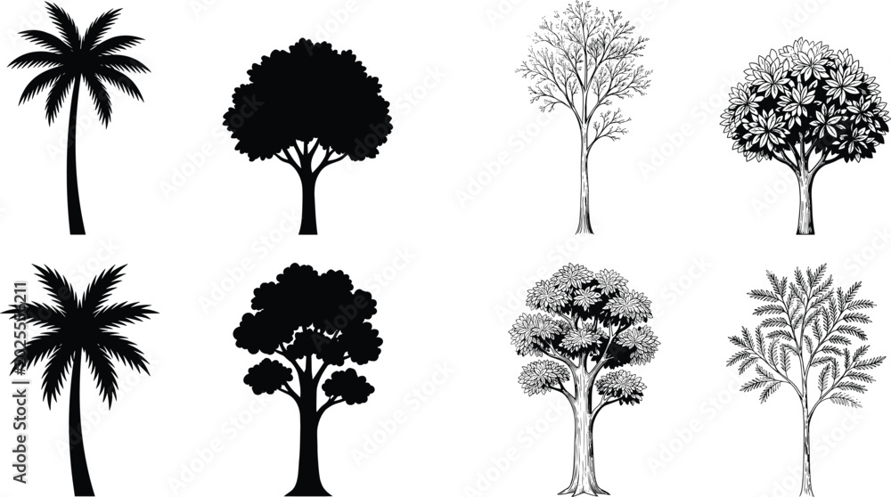Fototapeta premium Palm and Decorative Tree Silhouette Vector Collection Featuring Tropical and Hand Drawn Nature Tree Illustrations