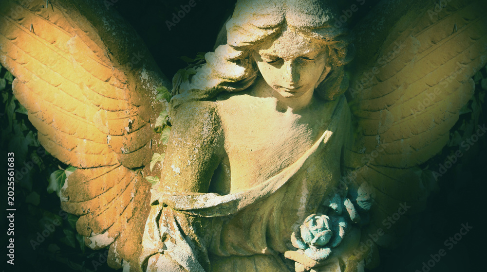 Obraz premium Dramatic angel statue with glowing wings and rose in hands, symbolic image of mourning, eternity and spiritual beauty
