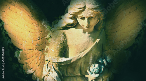 Dramatic angel statue with glowing wings and rose in hands, symbolic image of mourning, eternity and spiritual beauty