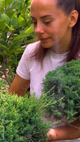 Happy young woman cutting junipers in the garden. Portrait of a young beautiful girl working in a garden with ornamental plants. The concept of happiness, joy, caring for plants.