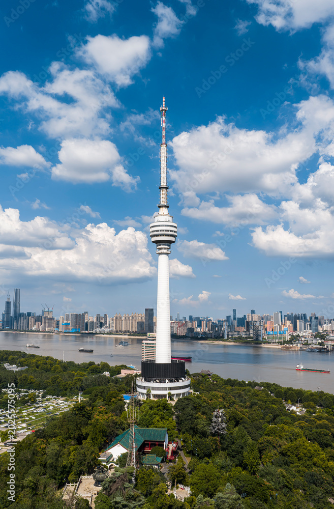 Obraz premium Aerial view of Wuhan skyline. The futuristic Guishan TV Tower rises from lush woods, set against modern skyscrapers and bridges along the Yangtze River under a dreamy, cloud-filled summer sky. China.