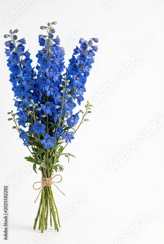 Generated AI set photos Vibrant blue delphinium bouquet tied with jute twine isolated on a clean background