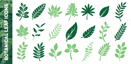 Tableau sur toile Collection of green botanical leaf icons in various shapes and styles