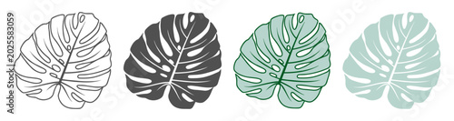 Photos Monstera icon with outline plant leaf