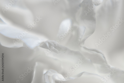 Obraz na plátne Macro of translucent white petal edges in soft focus.
