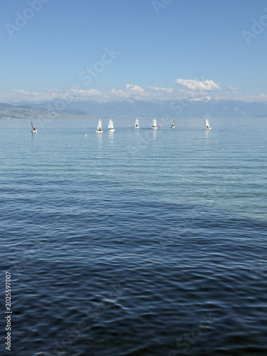 Several Boats Moored on a Calm Swiss Lake With Alpine Mountains Rising Beneath a Clear Blue Sky