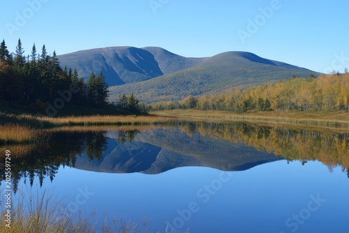 A perfect mirror image of the forest, blue sky, and mountains on the still water