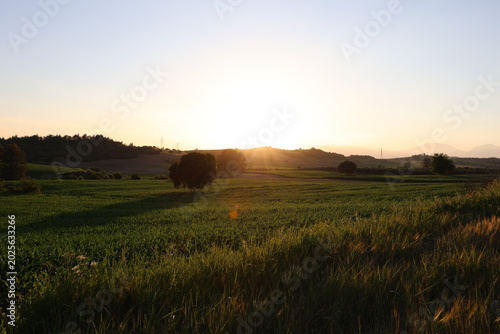 Scenic Sunset Over a Rolling Green Agricultural Field and Countryside