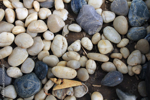 Fotografie This image features a collection of smooth, naturally formed pebbles and stones,