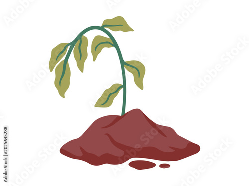 Wilted Tree or Dying Plant Illustration