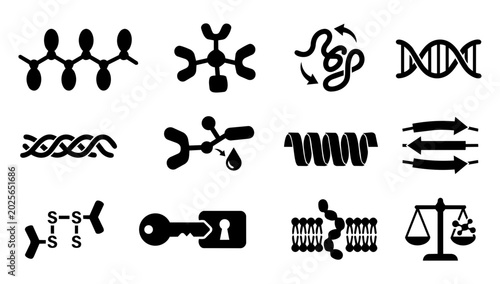 фотографія Peptide Molecule and Molecular Structure Silhouette Icons Set