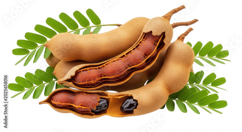 Fresh tamarind pods with brown pulp and dark seeds, arranged with green pinnate leaves isolated on a solid black background