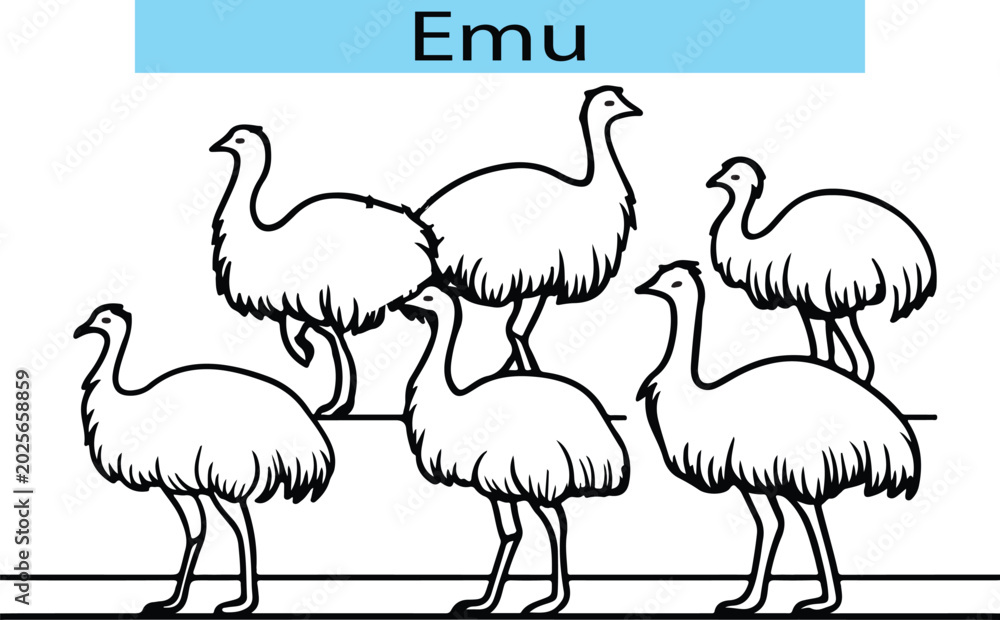 Naklejka premium Black Emu outline drawing, Emu vector illustration