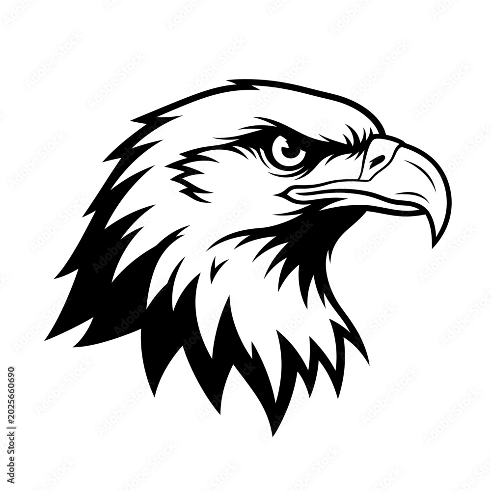 Fototapeta premium Majestic Eagle Head Profile on White Background