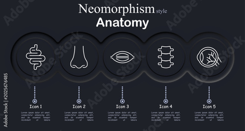 Photos Anatomy set icon