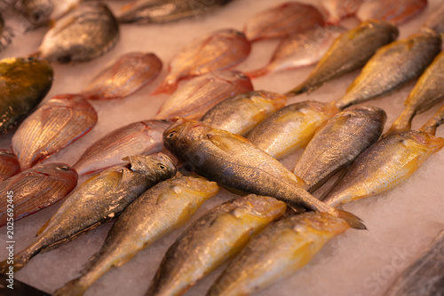 Canvas Print Fresh Fish Displayed Neatly On Supermarket Ice