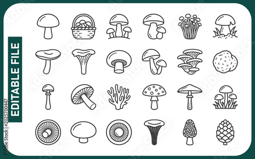 Tableau sur toile Forest mushroom line icon set
