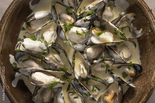 Tableau sur toile Oysters on bed of seaweed, shucked and arranged with herb sprigs, chilled presen