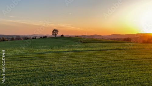 Foto Aerial panoramic view of silhouette of the tree on horizon