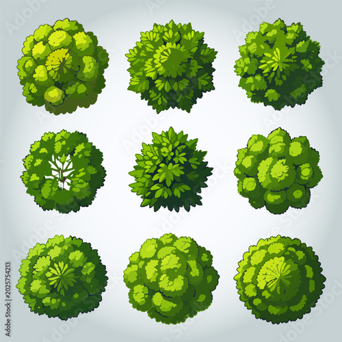 Ensemble de 9 Illustrations Silhouettes d'Arbres pour Plans de Jardins et Architecture, Vue d'en Haut, Nature et Végétation Vert Vecteur