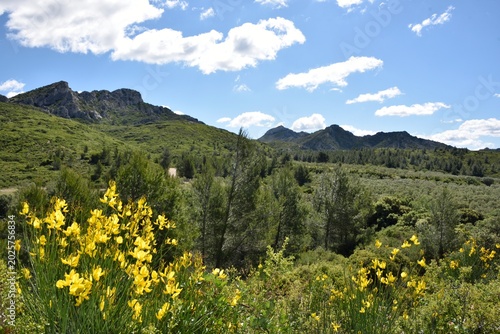 Massif des Alpilles (Bouches-du-Rhône)