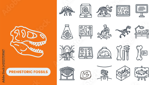 Φωτογραφία Prehistoric Era and Dinosaur Life outline icon set