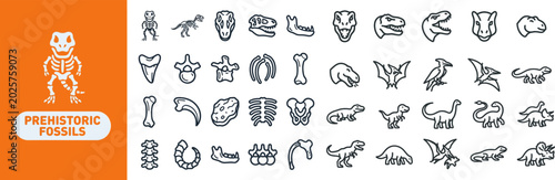 Photos Prehistoric Fossil and Dinosaur outline icon set