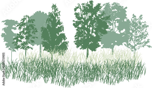 Green trees and grass group vector. Forest background landscape element isolated on white
