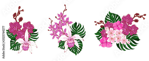 Set of tropical bouquets with pink orchids, hibiscus, plumeria and monstera leaves. Hand drawn floral arrangement for wedding invitations, greeting cards, prints and textiles. Isolated on white