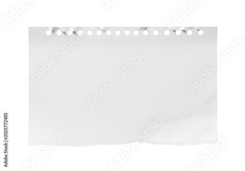 Minimalist lined paper with empty space