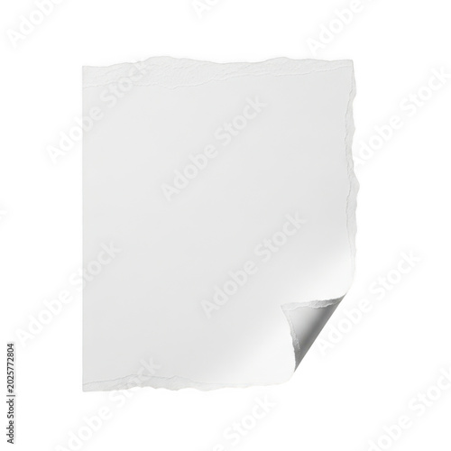 Empty blank paper corner lifted
