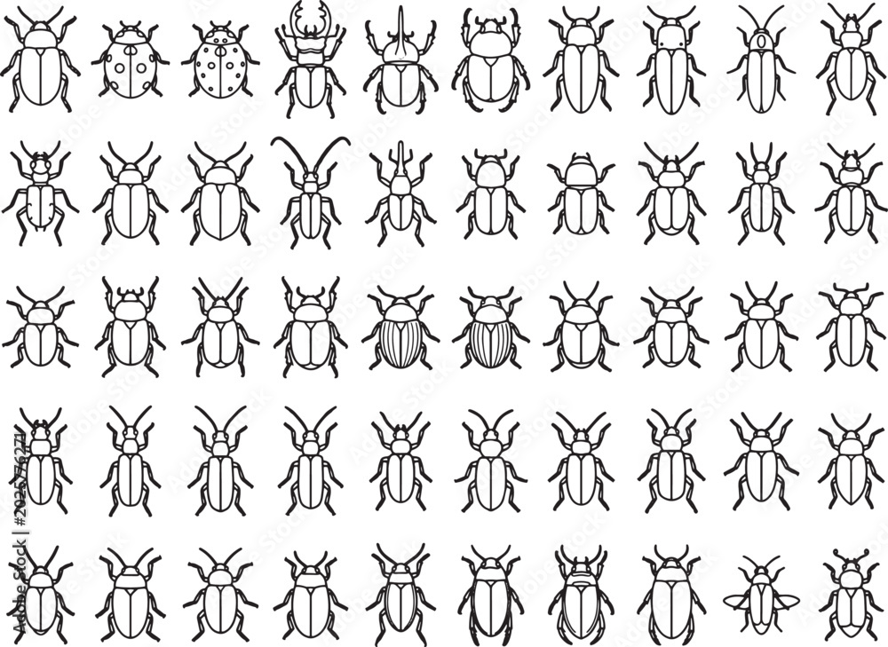 Obraz premium A detailed illustration showcases a variety of beetle species, depicted in a clean, line-art style against a stark background, perfect for educational or design purposes.