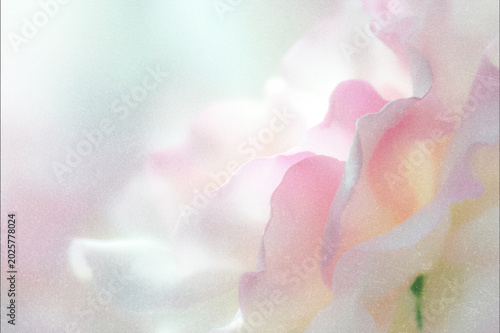 Εκτύπωση καμβά Soft Blurred Dreamy Florals Pastel Background
