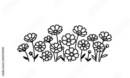 sprawling expanse iridescent cosmos flowers sways gently warm afternoon light delicate petals shimmering soft focus