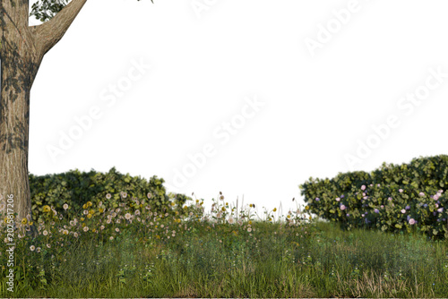Foto Lush green grass, a variety of colorful wildflowers, and vibrant garden bushes