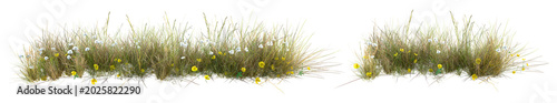 Fotografie Green Grass Patches with Small Yellow Flowers Isolated on White Background