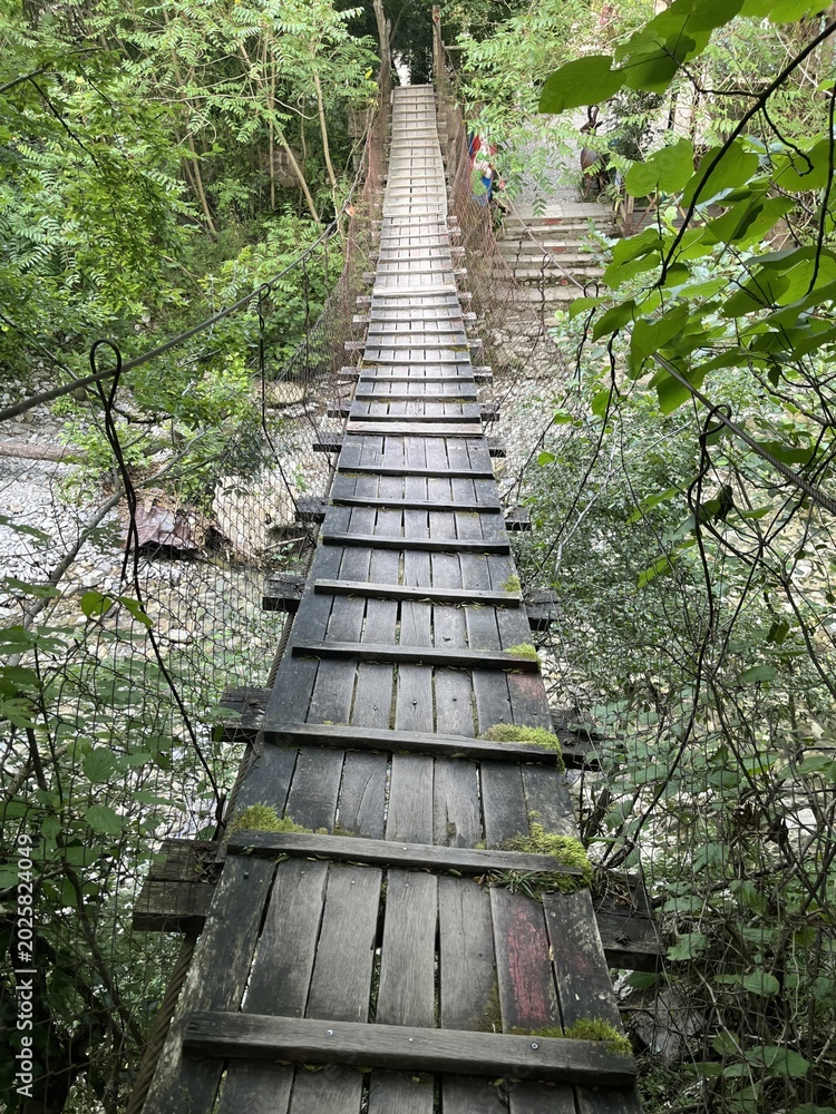 Fototapeta premium Narrow wooden suspension bridge in a lush green forest