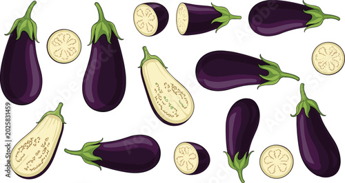 Quadro su tela Comprehensive purple eggplant vector collection featuring a group of whole auber