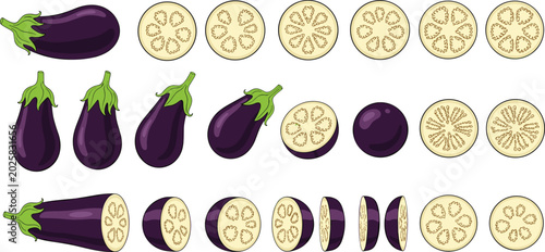 Obraz na płótnie Comprehensive purple eggplant vector mega set featuring multiple whole aubergine